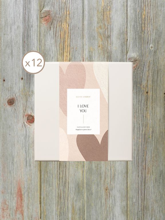 LULAS GARDEN URBAN SLEEVE - LOVE YOU